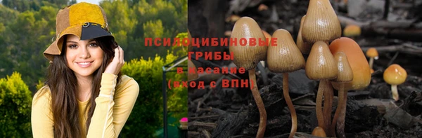 кокс Алексин