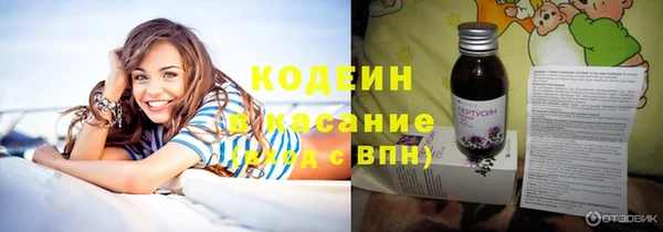 эйфоретик Алзамай