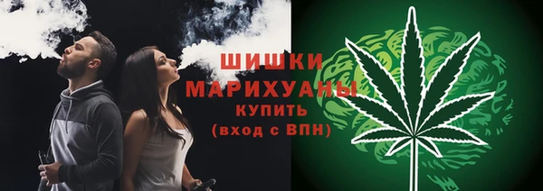 шишки Алексеевка