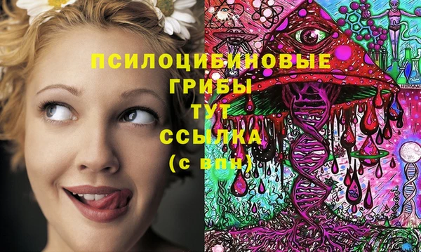 кокс Алексин