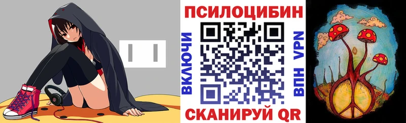 Псилоцибиновые грибы мицелий Ленинск-Кузнецкий